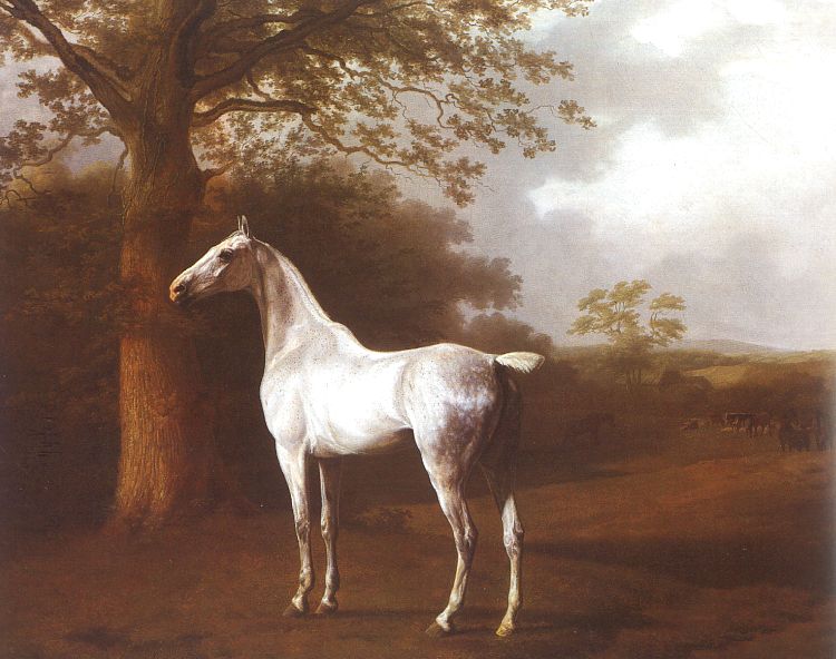 Agasse